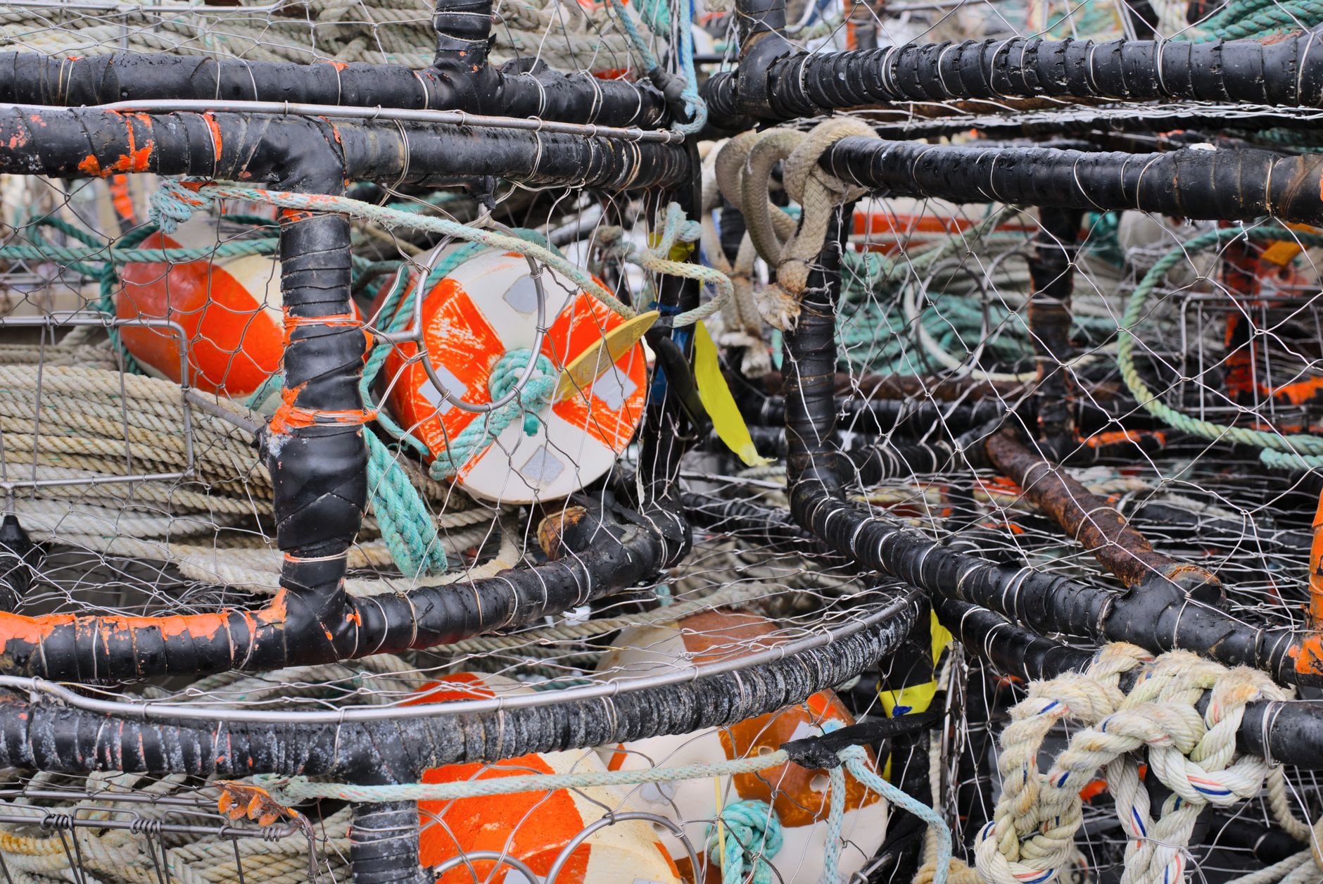 Every Crab Rule Exists Because a Lost Pot Keeps Fishing