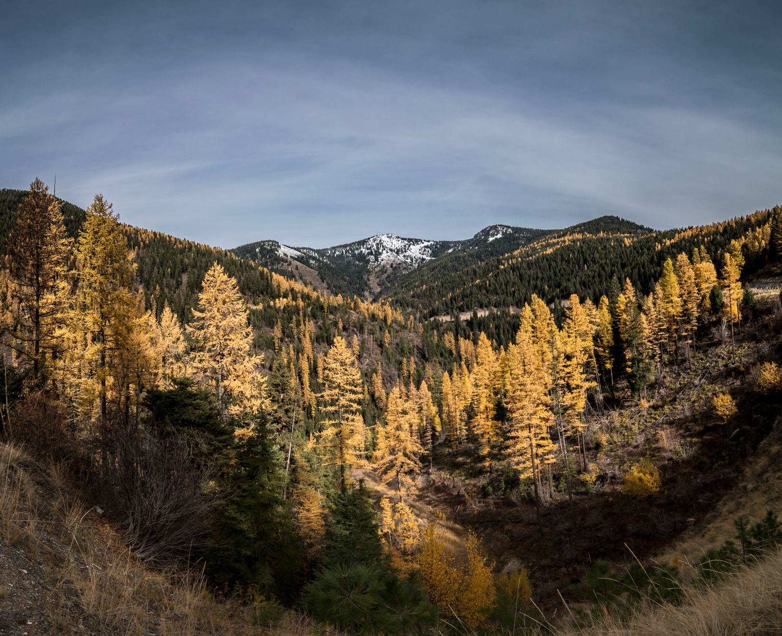 Missoula Hikes You Can Walk To From Downtown