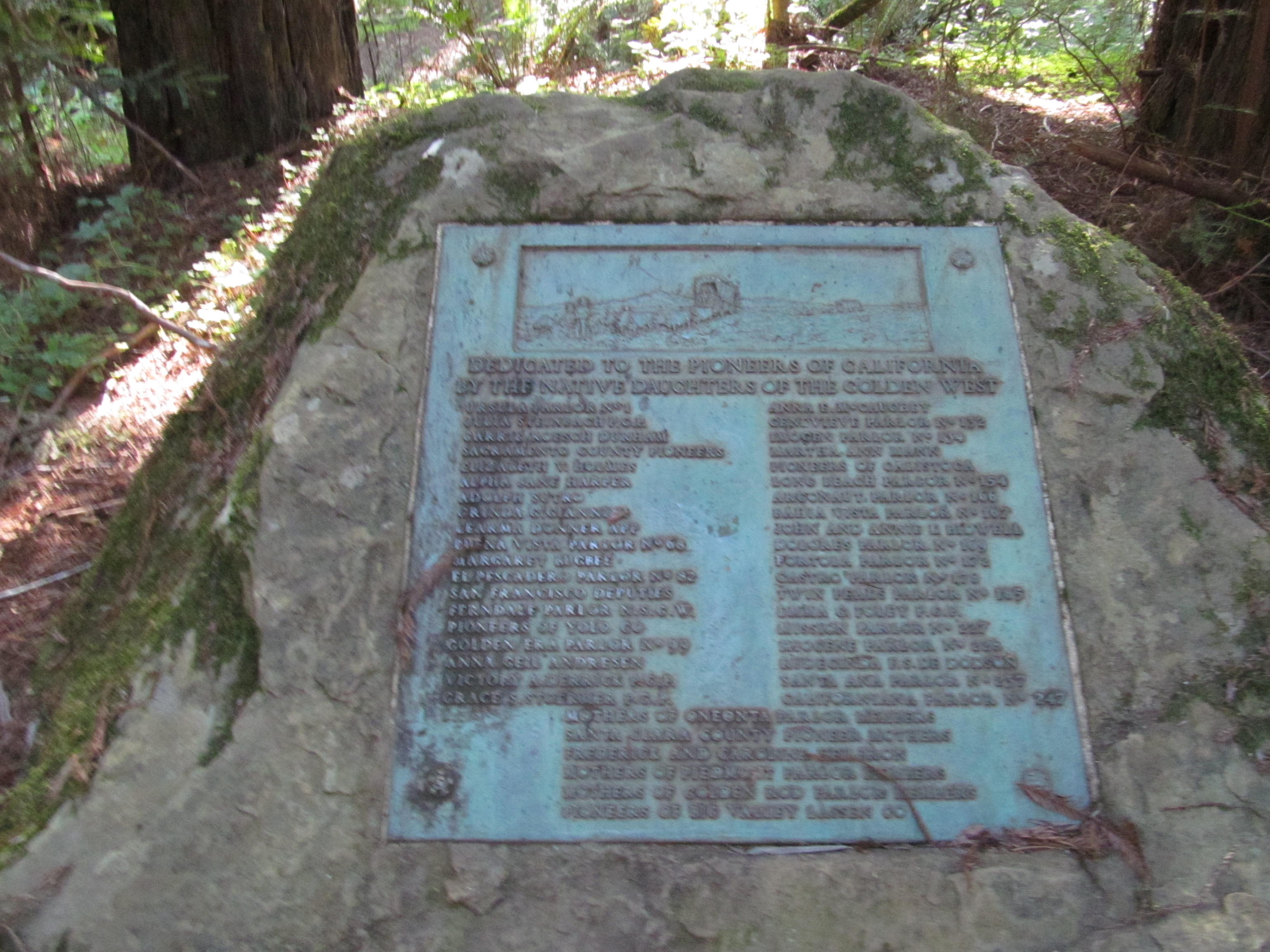 Rockefeller Forest Is the Largest Old-Growth Redwood Stand Left on Earth