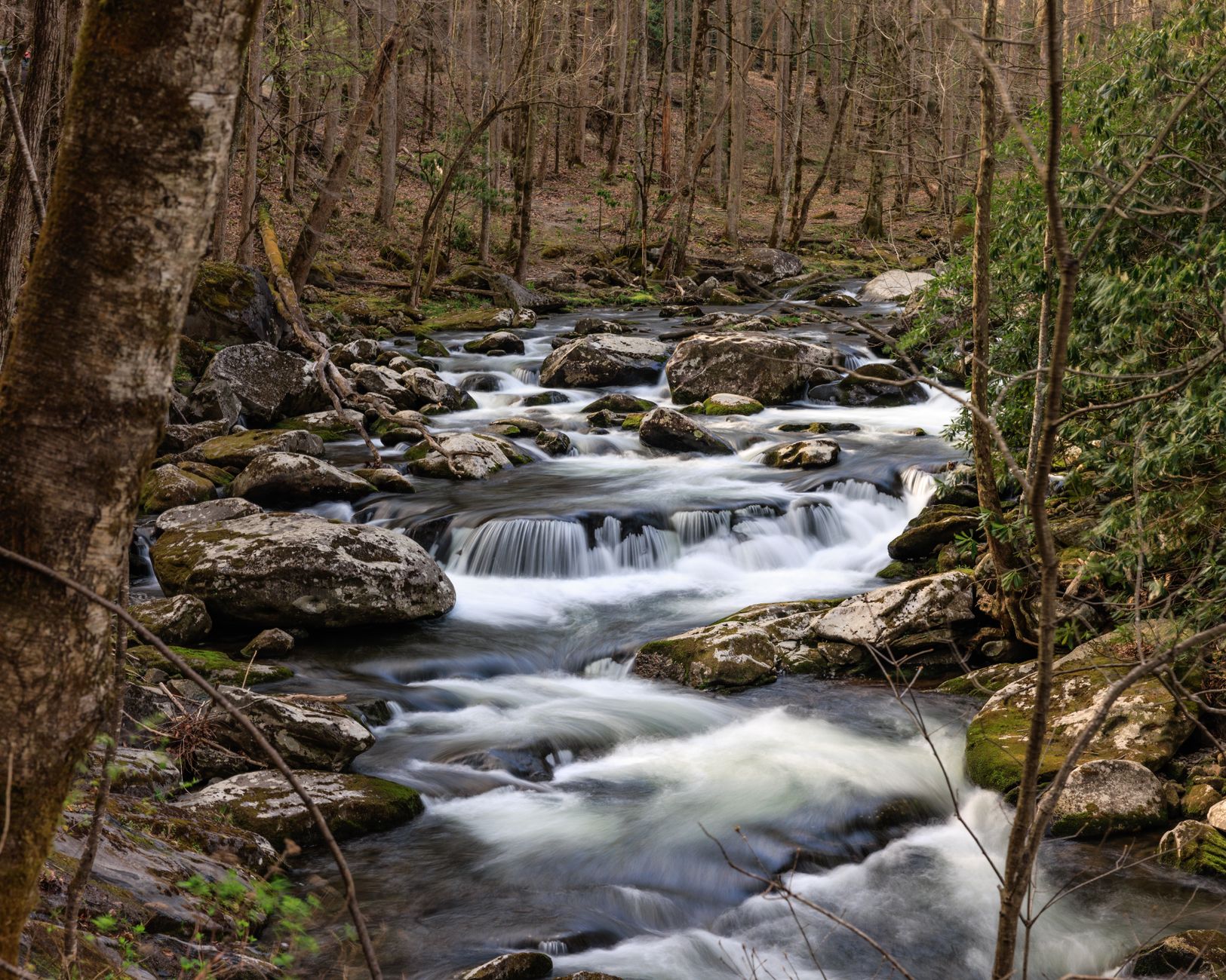 A Ten-Mile Overnight Loop Forty Minutes From Nashville