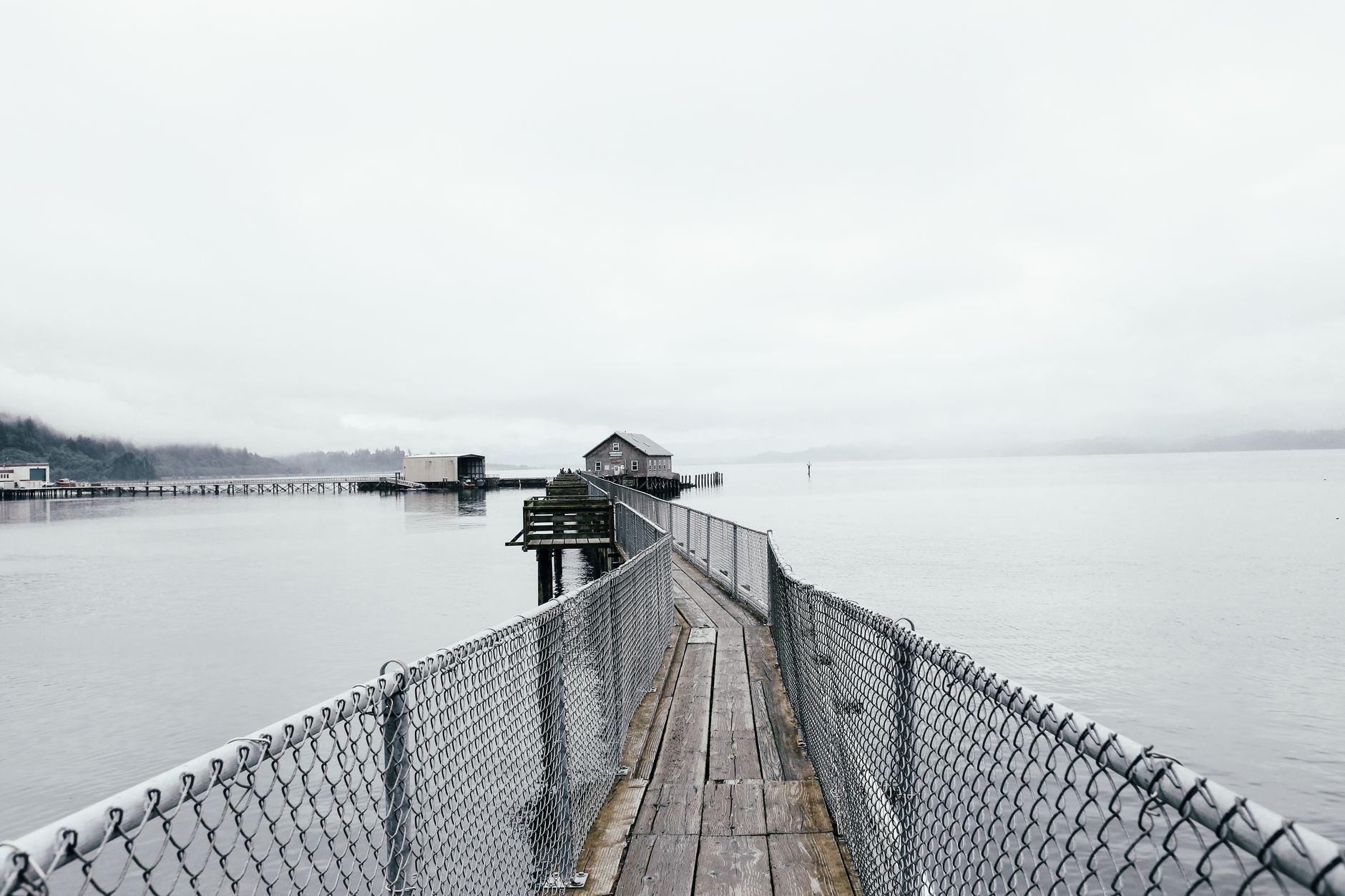Oregon Will Not Let You Pick an Oyster