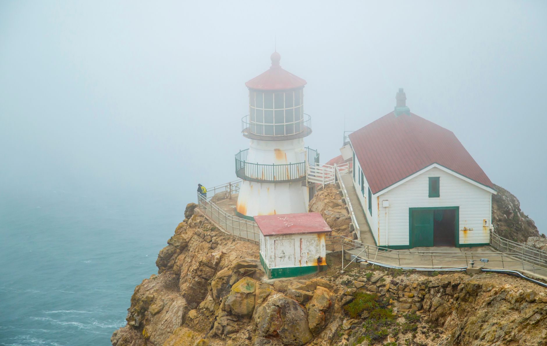 Point Reyes in Autumn: Why Lost Birds Keep Landing on One Headland