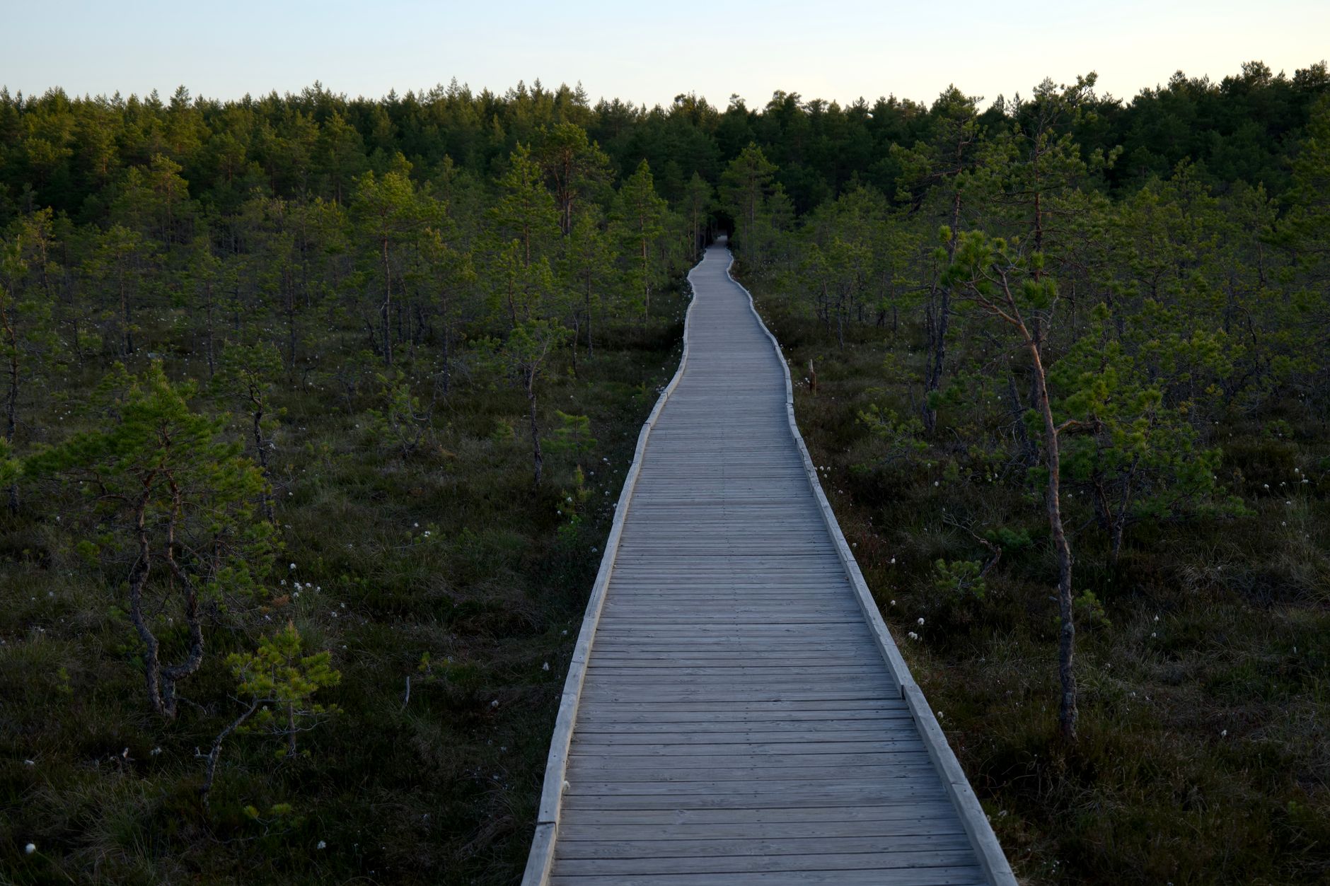 Natural Area, Scenic Trail, Reserve: The Labels Nobody Explains